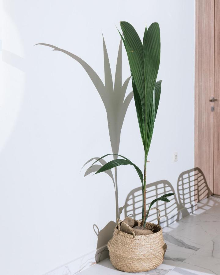 Arbona Apartment Ι Vori ภายนอก รูปภาพ
